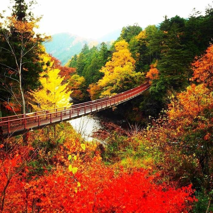 渓谷 秋川 秋川渓谷 瀬音の湯