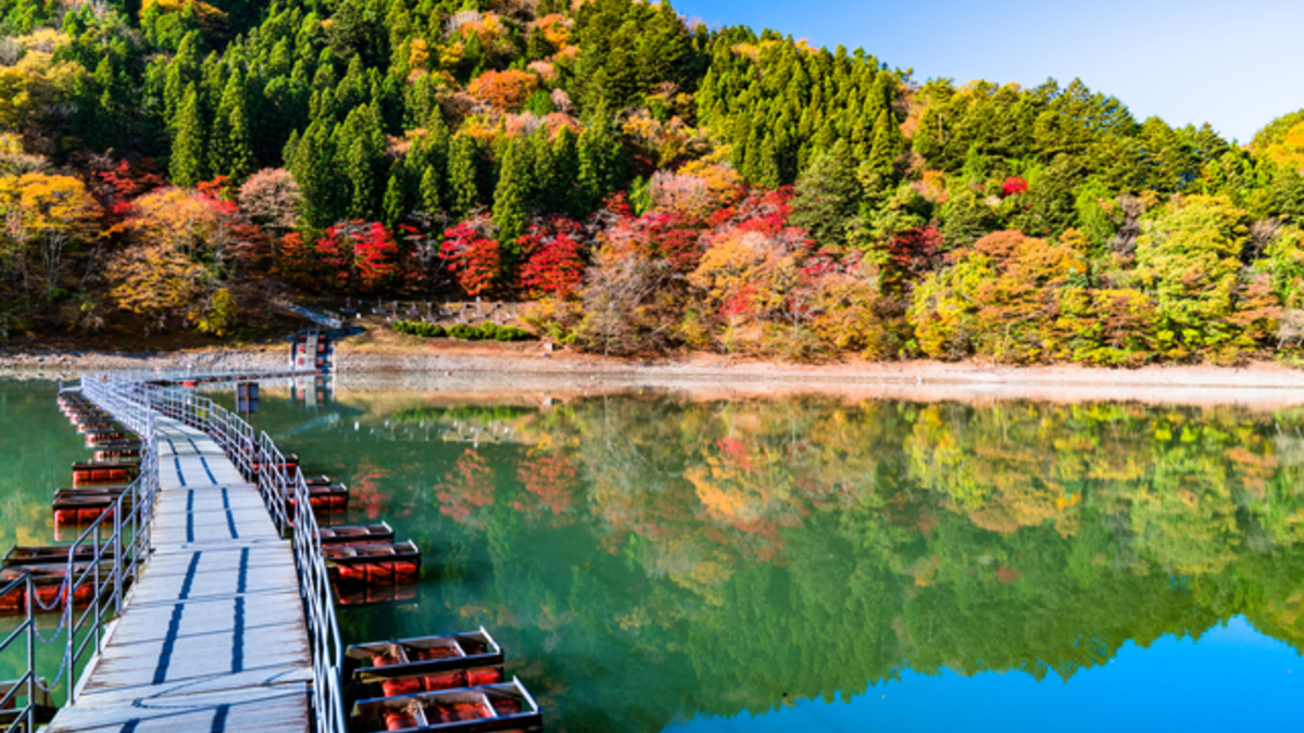 渓谷 秋川 秋川渓谷 OTSU